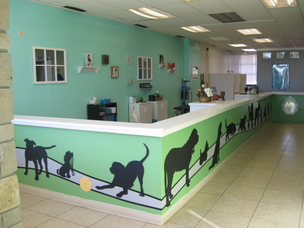 Pictures Of Dog Grooming Salons Petswall